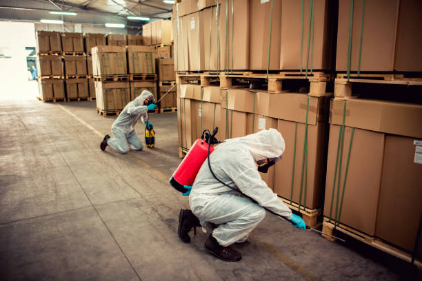 Pest Prevention Services in Wynnewood, OK