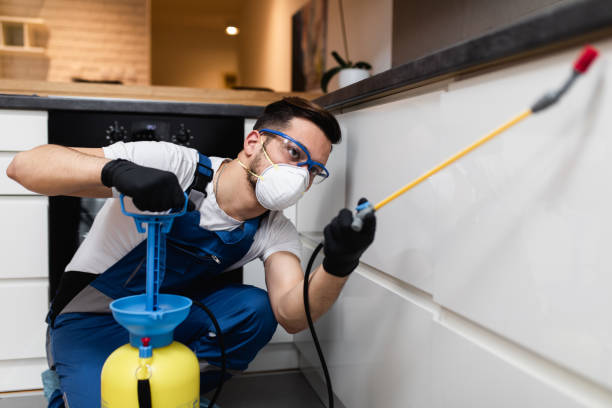 Best Residential Pest Control  in Wynnewood, OK