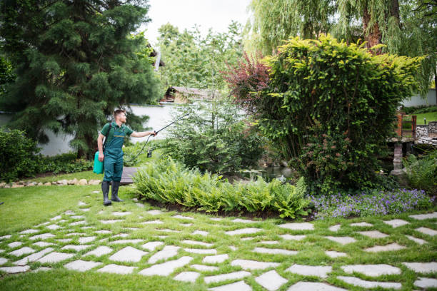 Best Pest Inspection Near Me  in Wynnewood, OK