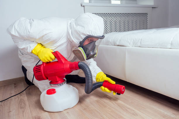 Best Local Pest Control Services  in Wynnewood, OK