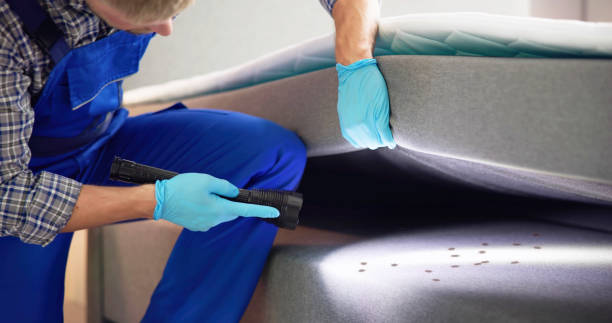 Best Wasp Removal Services  in Wynnewood, OK