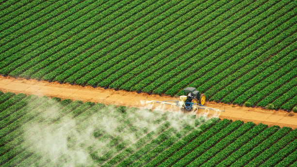 Best Pest Removal Services  in Wynnewood, OK