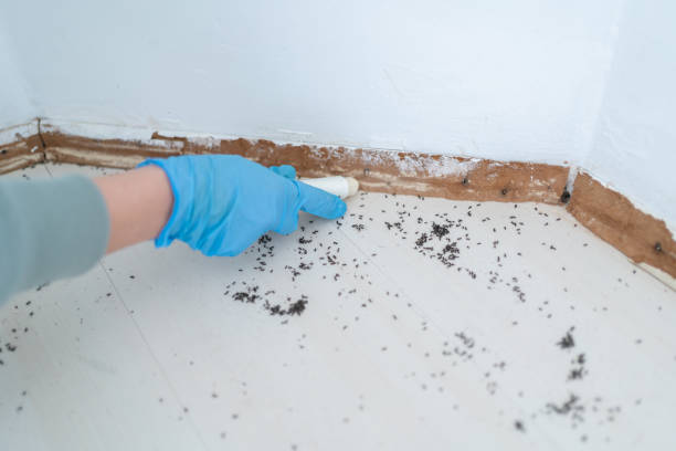 Best Affordable Pest Control Services  in Wynnewood, OK