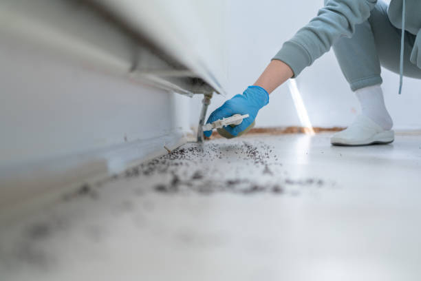 Best Wildlife Control Services  in Wynnewood, OK